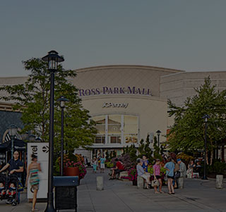peters township to ross park mall