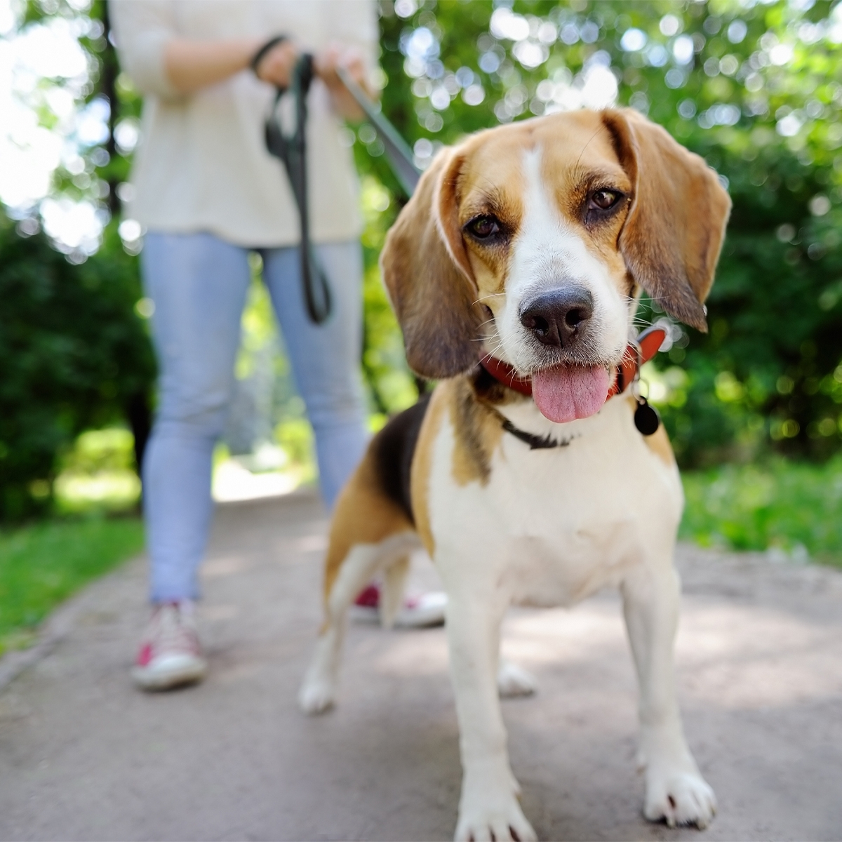 To Hamilton Town Center A Shopping Center In Noblesville, IN