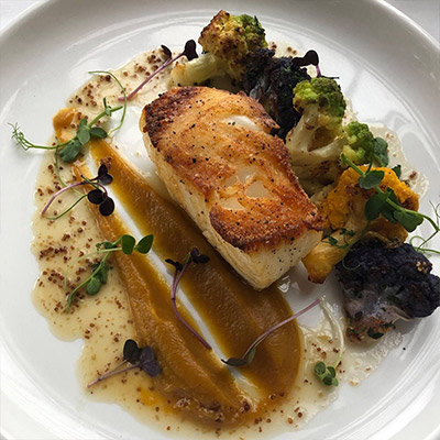 phipps - spot 6 - davios image