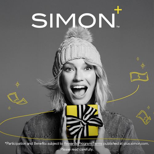 Simon+ Holiday - spot 1 - all PO Centers image