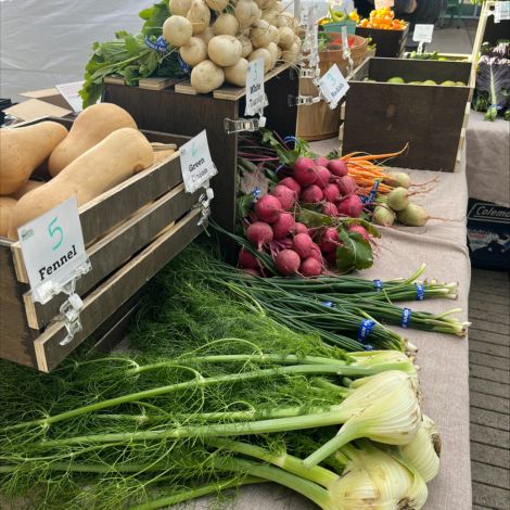 domain - promo - farmers market image
