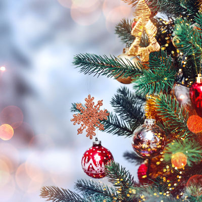 pheasant lane - spot 5 - Shop Local Spotlight: Seasons Treasures - Copy image