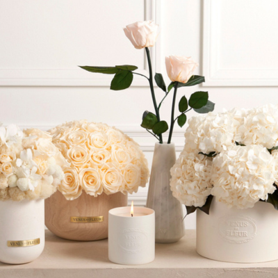 roosevelt field - promo - venus et fleur image