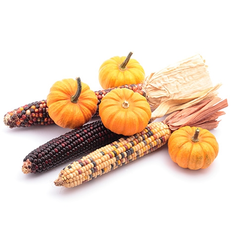 seattle po - promo - holiday weekend R&amp;R image