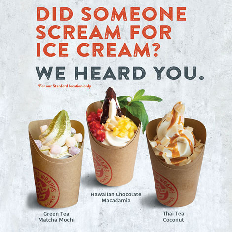 stanford - promo - world wrapps new ice cream image