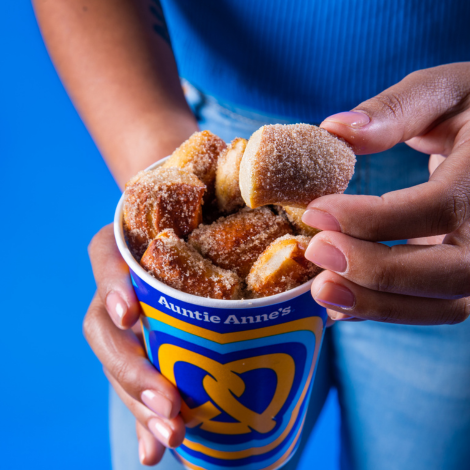 wolfchase - promo - auntie anne&#39;s - Copy(1) image