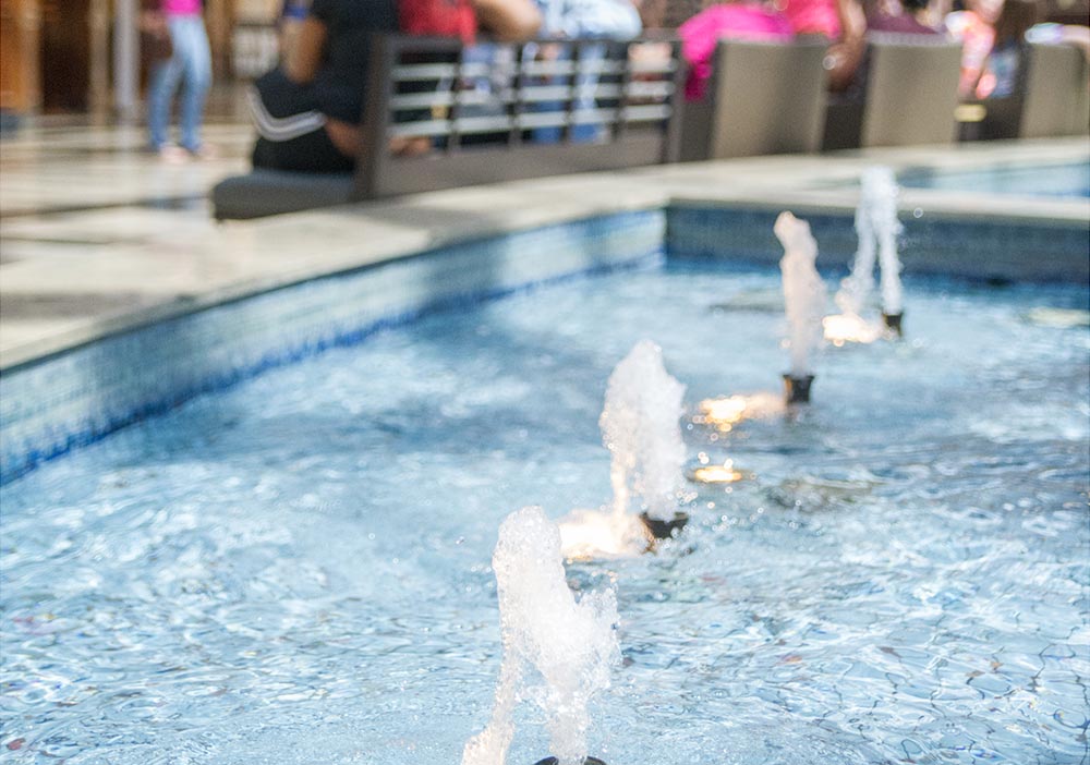 About The Avenues, Including Our Address, Phone Numbers & Directions