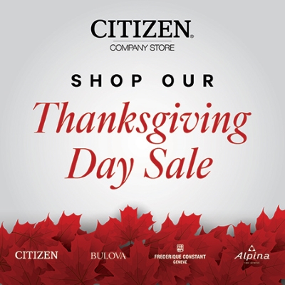 Thanksgiving Day Sale 