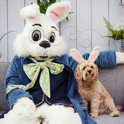 Bunny Photo Experience at Ontario Mills® - A Shopping Center in Ontario, CA  - A Simon Property