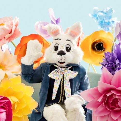 HOPPY HOUR WITH THE BUNNY from Easter Bunny Photo Experience at