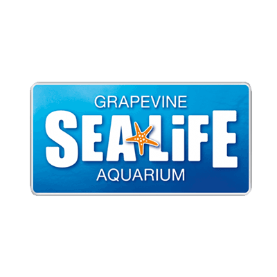 Sea life aquarium clearance store