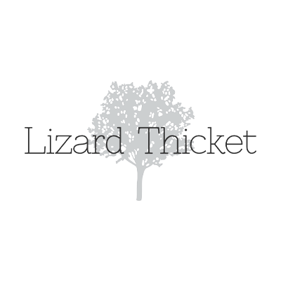 Lizard thicket deals near me