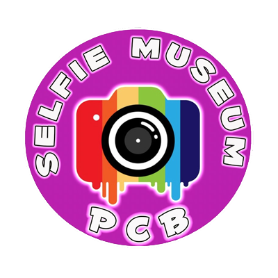 Selfie Museum PCB